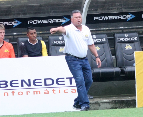 Cavalo satisfeito com vitória
