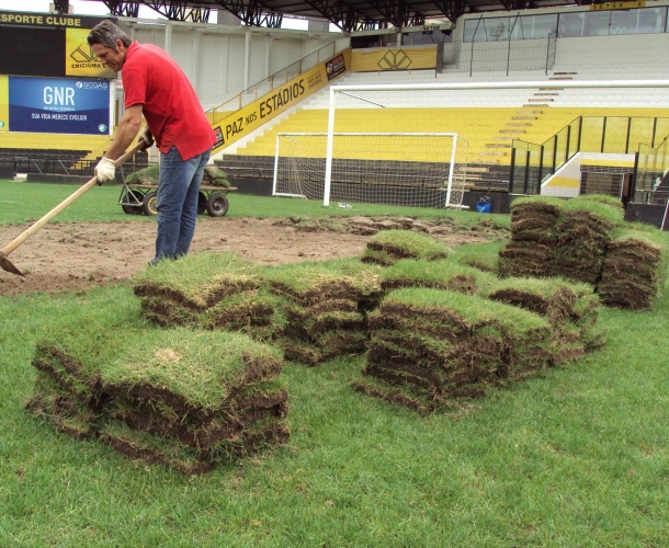 Gramado do H.H. já começa a ser preparado para 2014