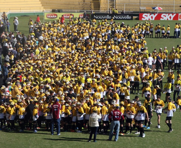 Projeto Tigrinhos busca renovar parcerias