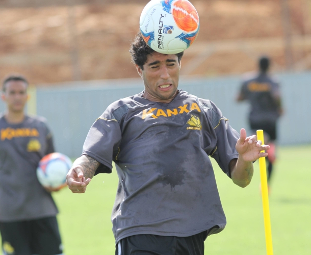 Tigre alia trabalhos físicos e técnicos