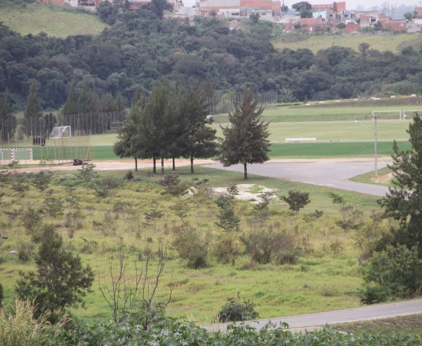 Tigre escalado para jogo treino