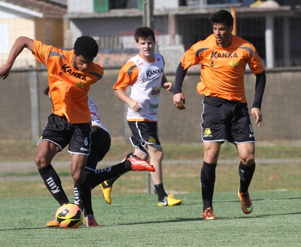 Tigre faz trabalho de movimentação