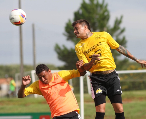 Tigre faz treinamento coletivo