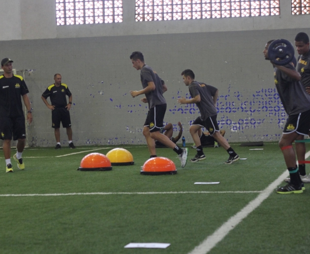 Tigre faz treino de força no ginásio