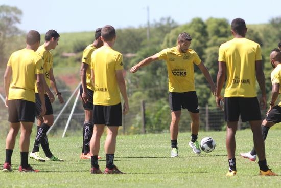 Tigre retoma trabalhos no CT