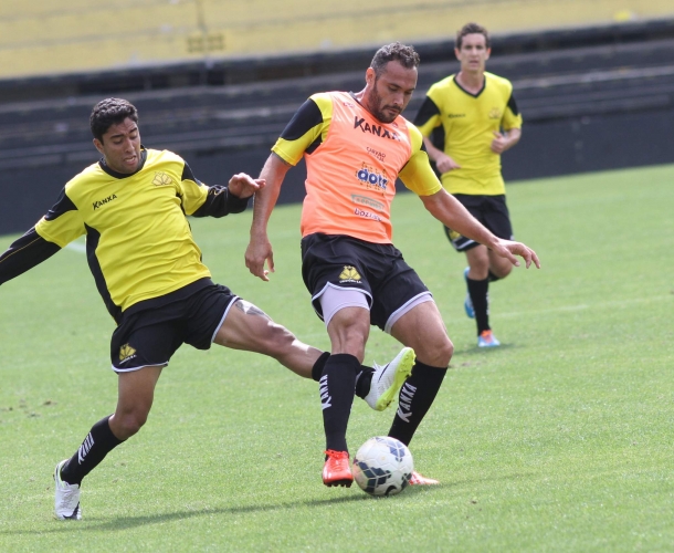 Tigre treina antes de viagem a Curitiba