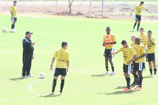 Tigre treina antes de viagem