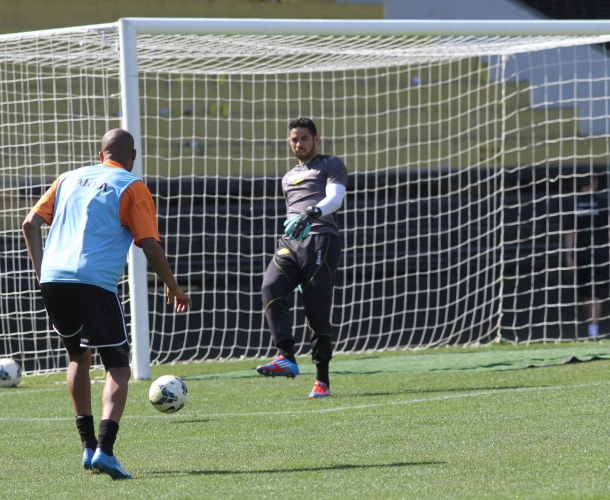 Tigre treina e viaja a Recife