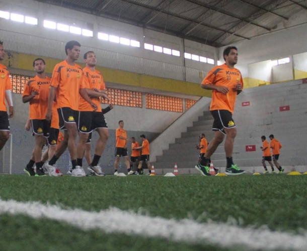 Tigre treina e viaja para São Paulo