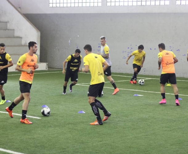 Tigre treina no gramado sintético