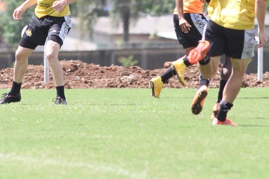 Tigre viaja com 19 jogadores