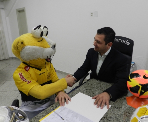 Tigrelino volta ao Majestoso